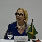 A presidente do CFMV, Ana Elisa Fernandes de Souza Almeida na 4ª CNP.