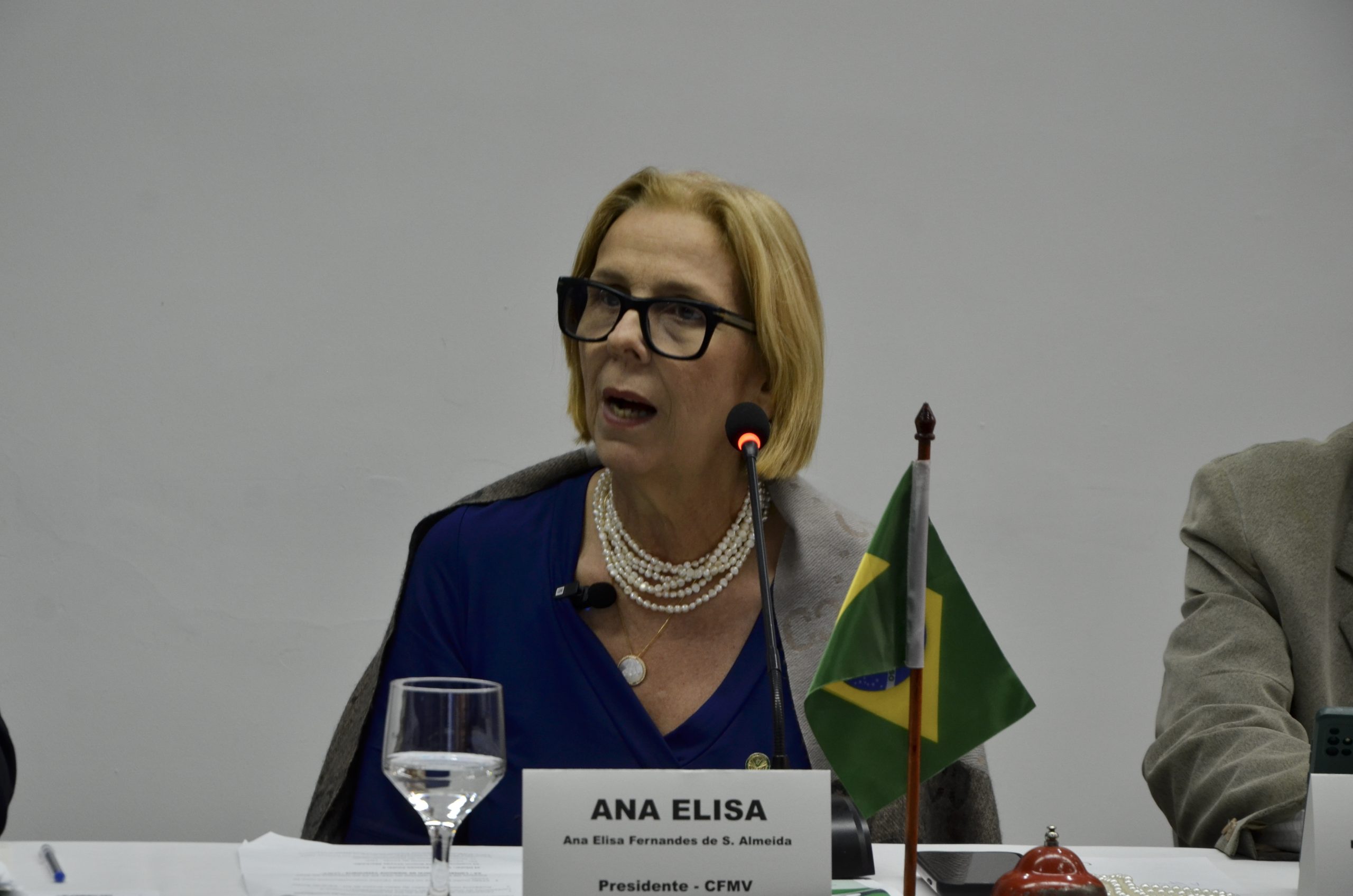 A presidente do CFMV, Ana Elisa Fernandes de Souza Almeida na 4ª CNP.