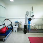 O primeiro núcleo de multicuidados para pets da América Latina foi inaugurado na última quinta-feira (28) no Hospital Veterinário da Universidade de São Paulo (USP). O local conta com profissionais ligados a nutrição animal, manejo da dor, fisioterapia e cuidados paliativos.