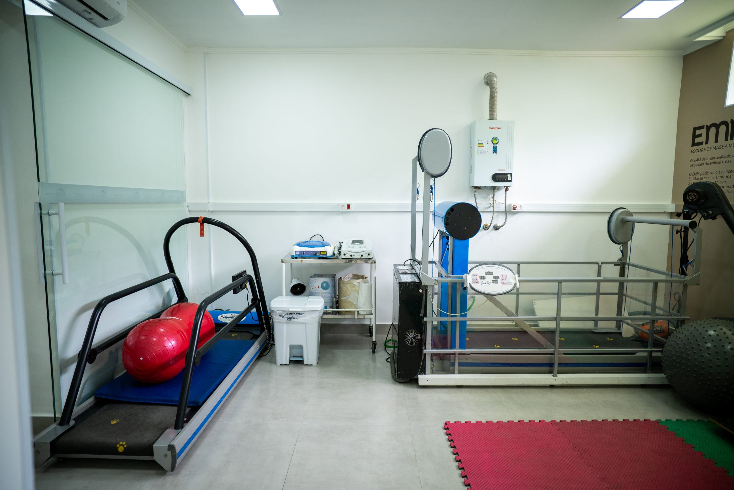 O primeiro núcleo de multicuidados para pets da América Latina foi inaugurado na última quinta-feira (28) no Hospital Veterinário da Universidade de São Paulo (USP). O local conta com profissionais ligados a nutrição animal, manejo da dor, fisioterapia e cuidados paliativos.