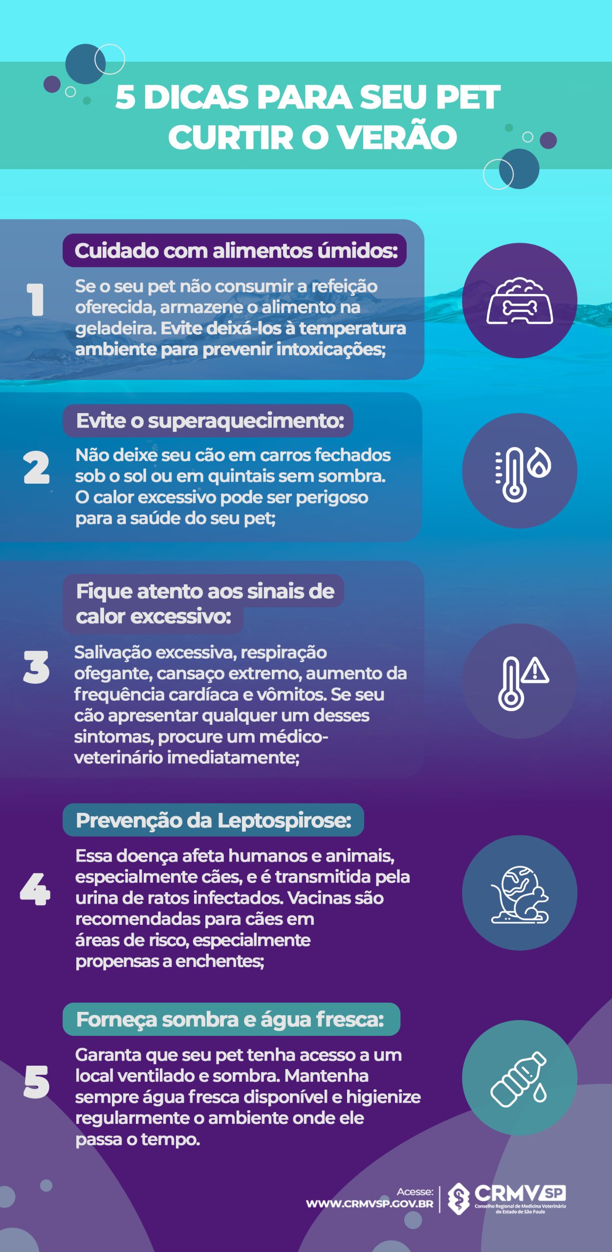 infográfico 5 dicas para seu pet curtir o verão.