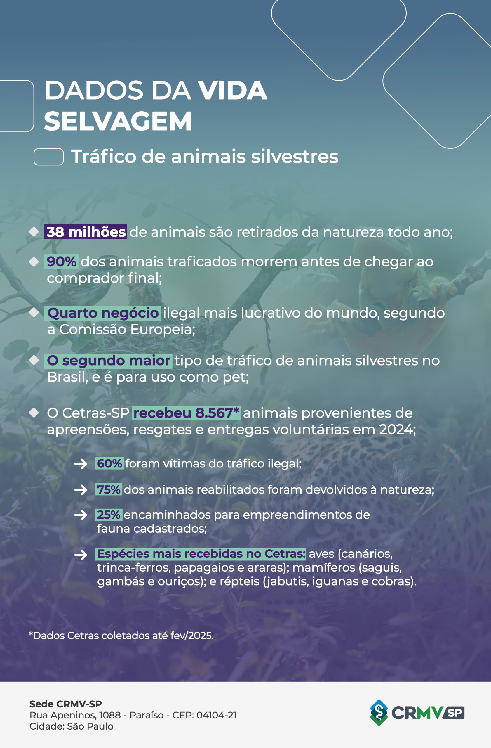 infográfico com dados da vida selvagem no Brasil.