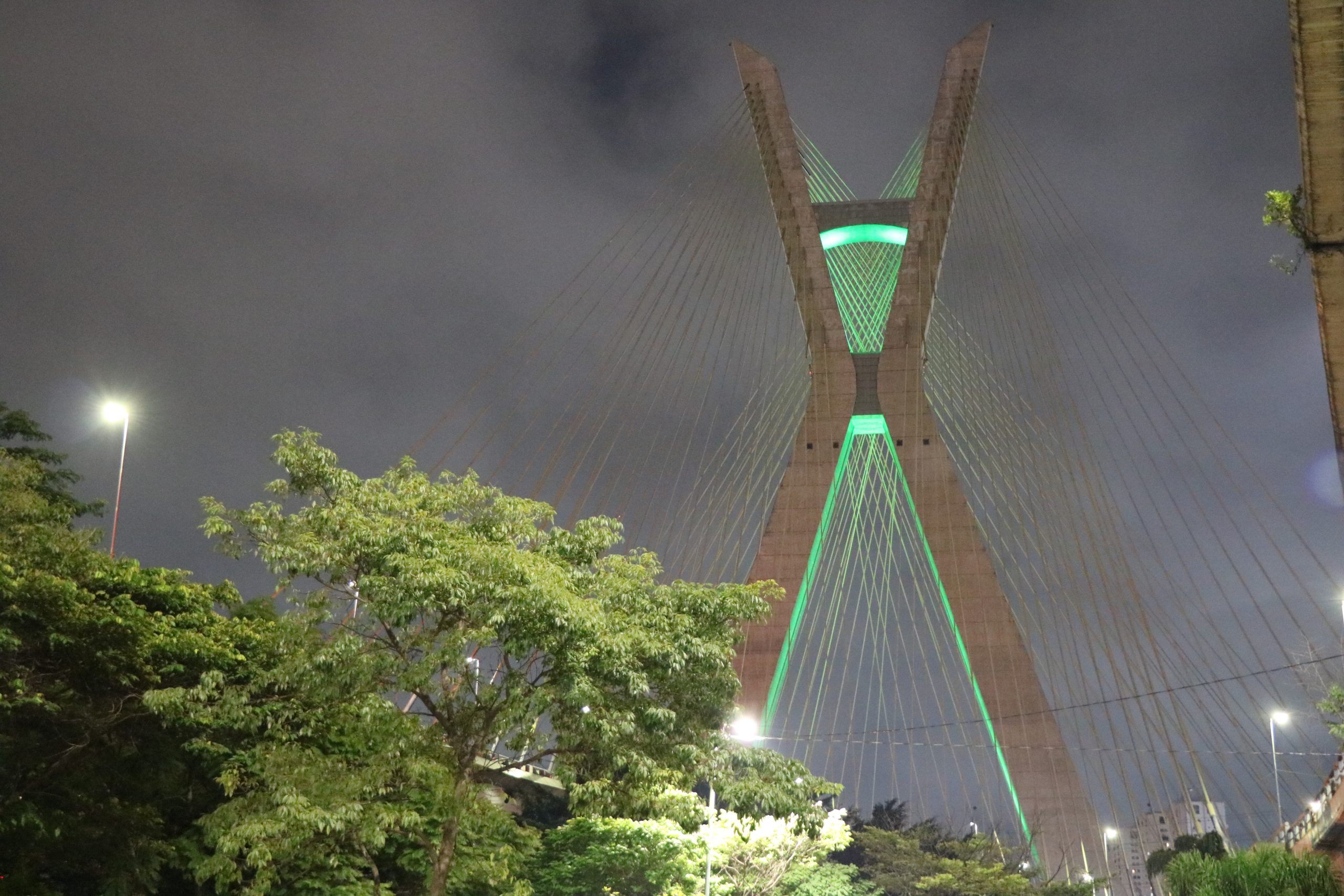 Visão lateral da ponte estaiada iluminada de verde em homenagem ao dia do zootecnista. Em primeiro plano, aparecem a copa de algumas árvores.