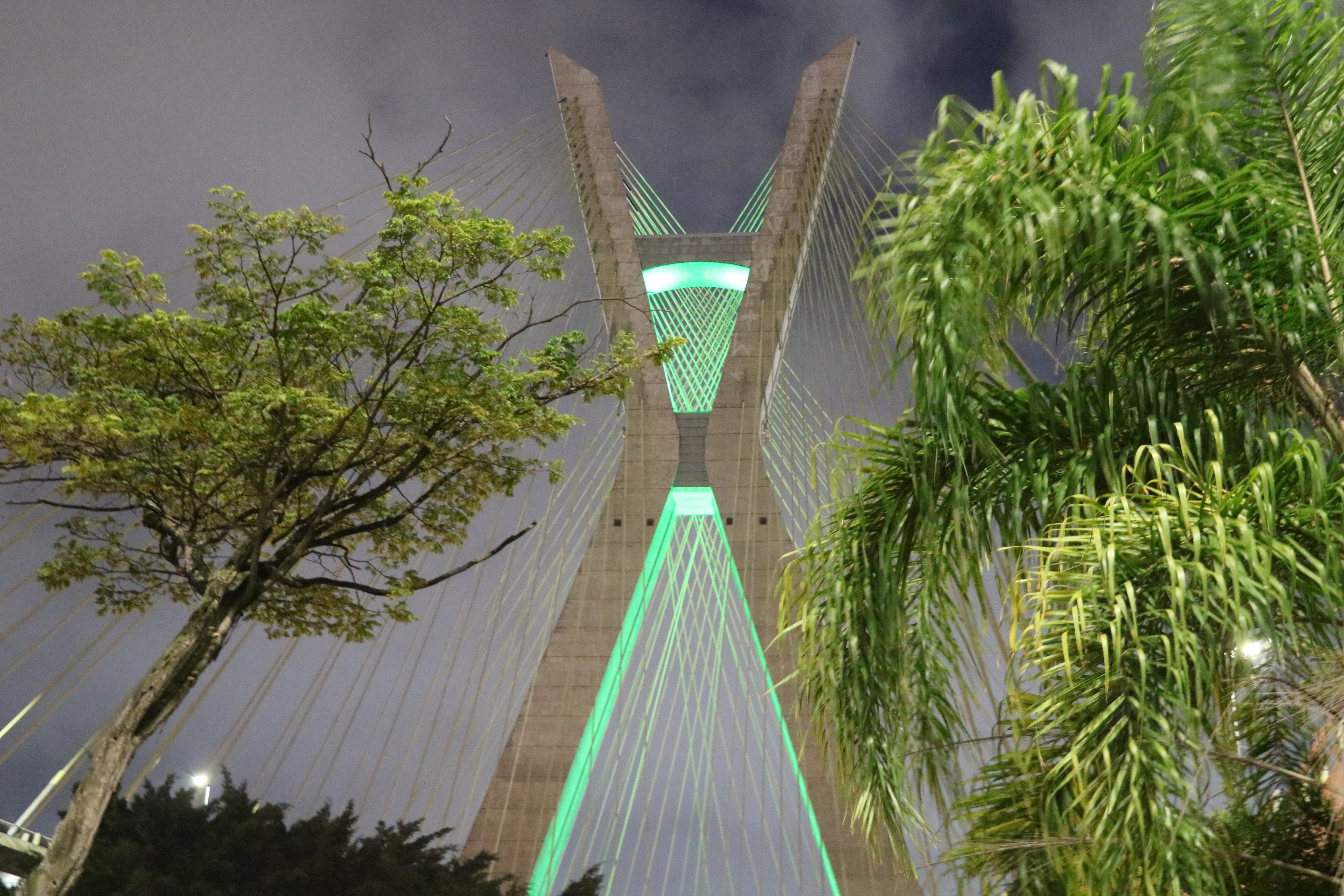Vista lateral da ponte estaiada iluminada de verde em homenagem ao dia do zootecnista. Aparece à esquerda e à direita as copas de duas árvores.