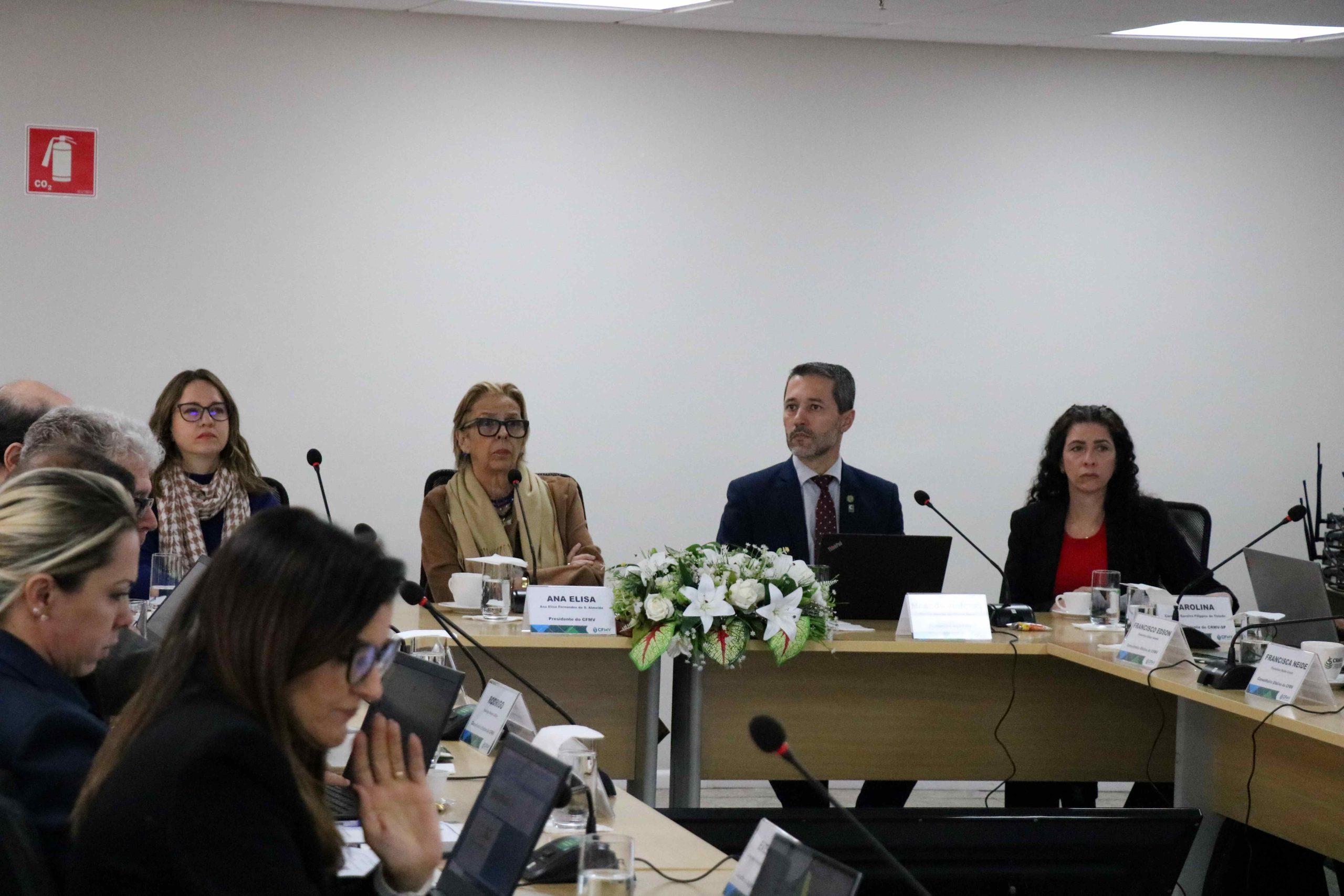 Membros da diretoria do CRMV-SP e CFMV sentados frente ao telão.