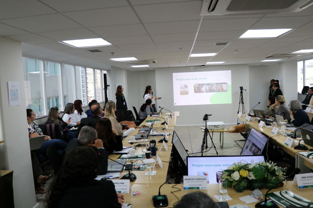 Sessão do CFMV realizada na plenária do CRMV-SP em 24/07/2025. Na imagem é possível ver membros da diretoria do CFMV e do CRMV-SP enquanto membro da Inataa fala sobre terapia com cães.