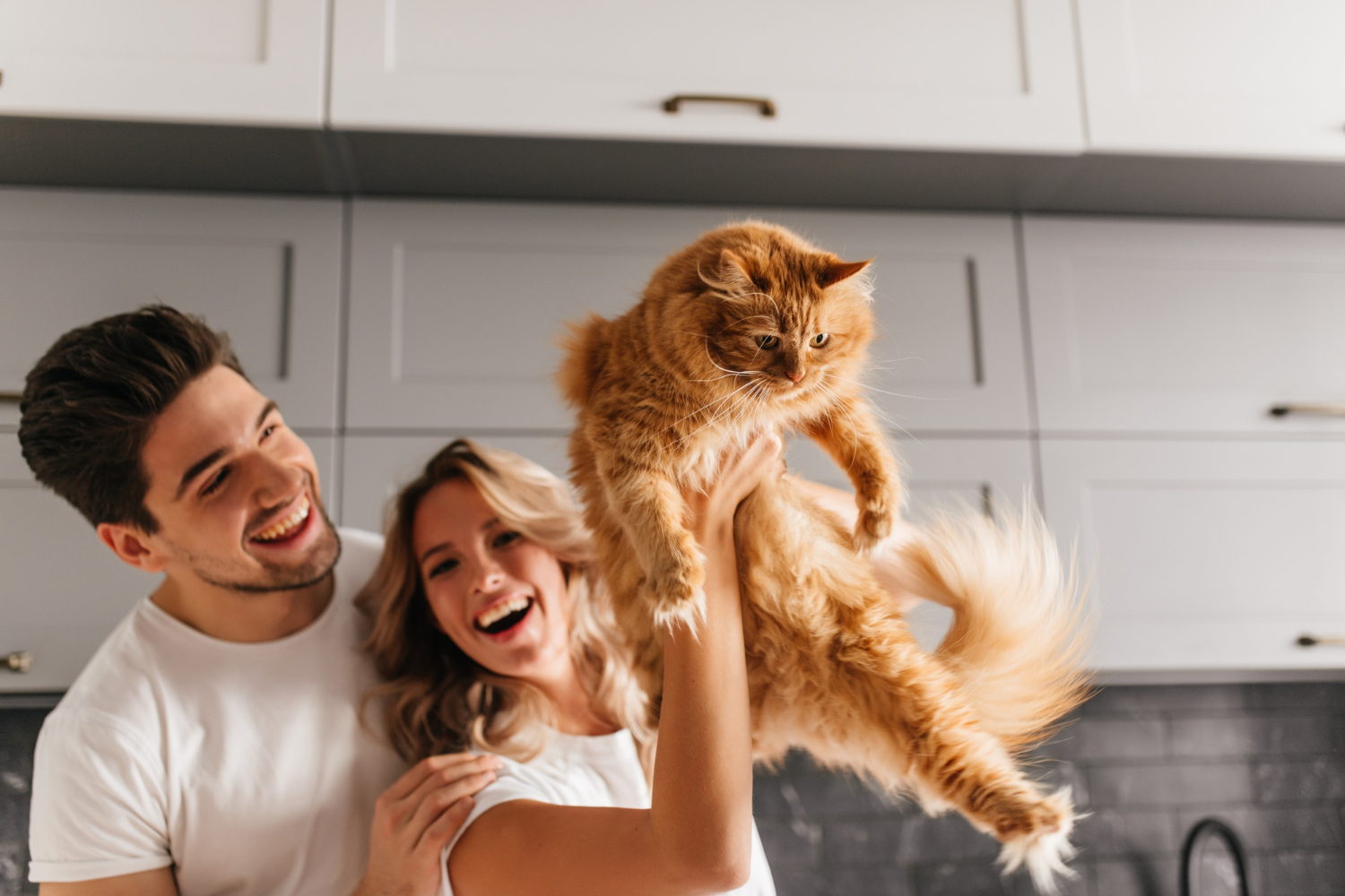 Casal jovem e branco, vestindo blusas brancas de mangas curtas e gola redonda segura gato laranja adulto de pelo espesso. Eles estão em uma cozinha.