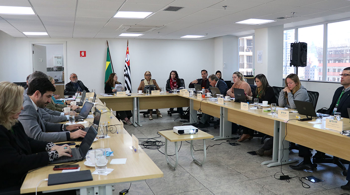 Na sala da plenária, em uma mesa em formato de U, a Diretoria Executiva, as conselheiras e demais funcionários do CRMV-SP, além de integrantes do CFMV (presidente e secretário-geral) discutem as pautas do mês.