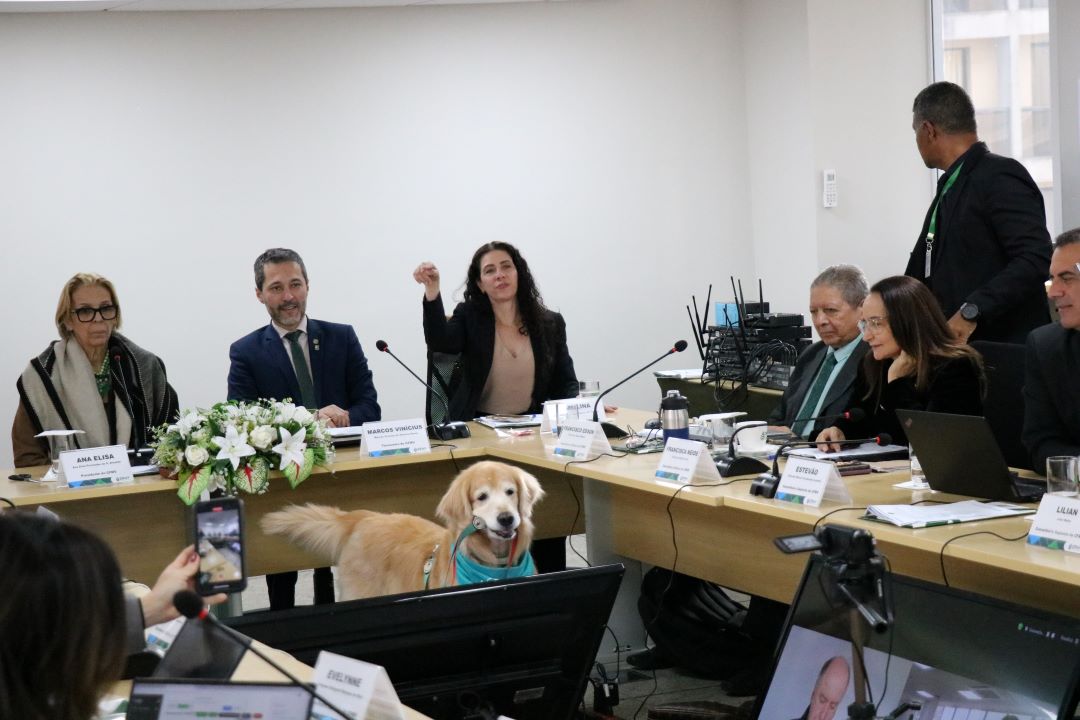 Em destaque a presidente do CFMV, Ana Elisa, o membro da Diretoria do CFMV, Marcos Vinícius e a presidente do CRMV-SP, ao centro um cão terapeuta da raça Golden Retriever.