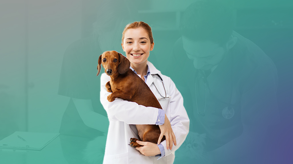 Mulher loira vestindo jaleco e estetoscópio no pescoço segurando um cachorro da raça Dachshund.