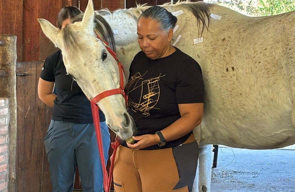 Mulher cuidando de cavalo