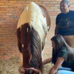 Mulher cuidando de cavalo enquanto outra mulher sorri para foto