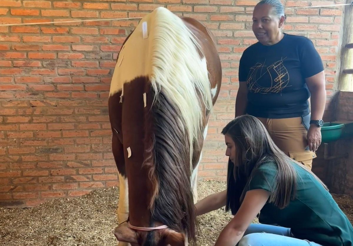 Mulher cuidando de cavalo enquanto outra mulher sorri para foto