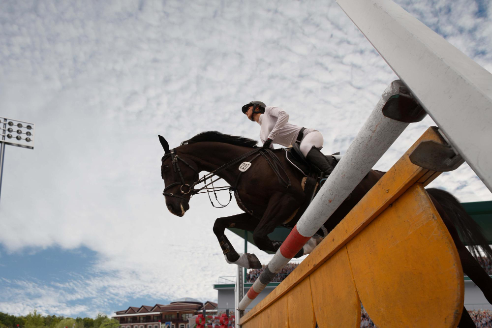 A imagem mostra de baixo para cima, um cavalo de salto com pelagem marrom escura pulando um obstáculo durante competição, enquanto é montado por uma jóquei mulher jovem vestindo uniforme branco.