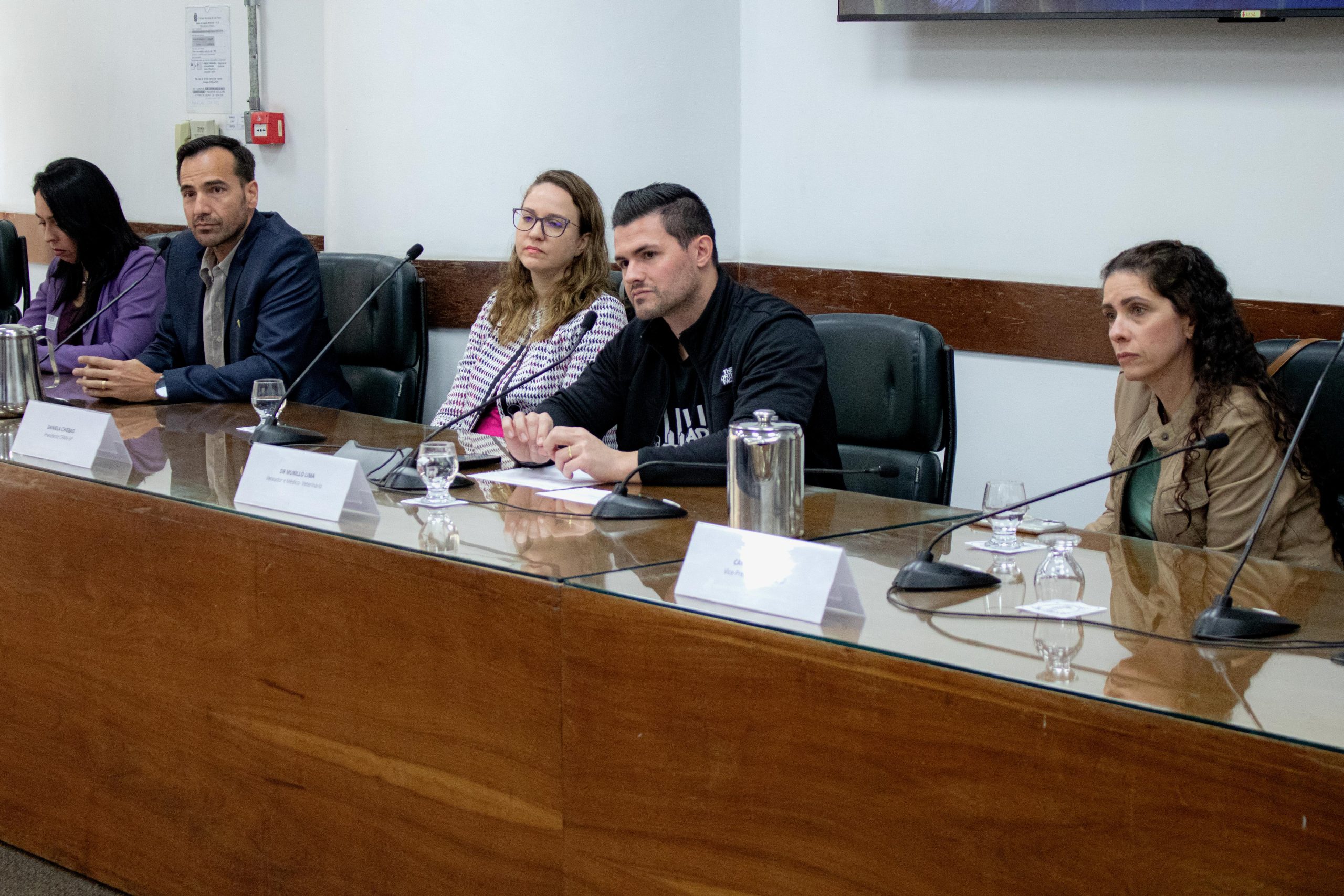 Pessoas sentadas apoiando em uma mesa com microfones.