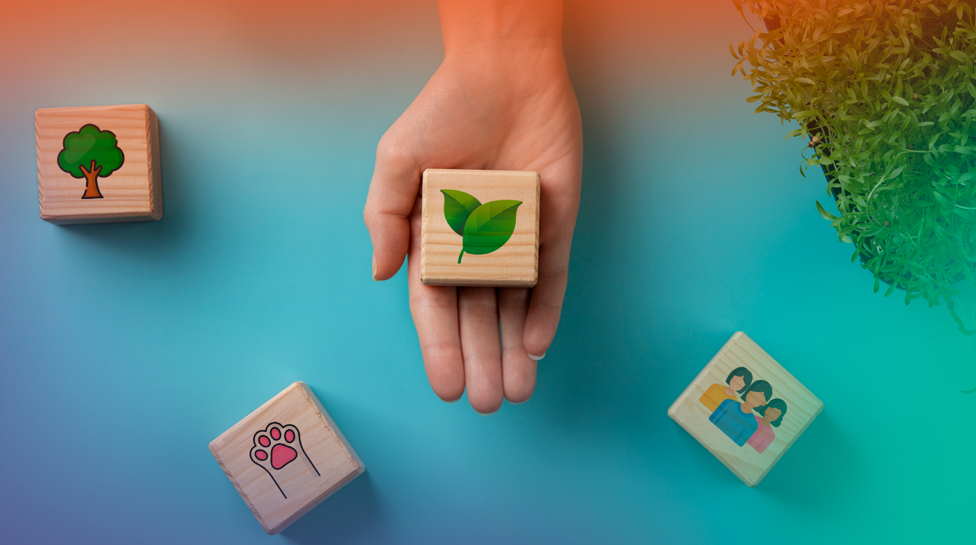 Uma mão estendida com símbolos da Uma Só Saúde, sapude, humana, ambiental, animal e vegetal.