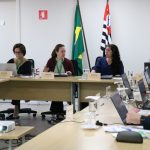 Conselheiros e Diretoria sentados em volta de uma mesa durante sessão plenária. Em destaque, da esquerda para a direita: a tesoureira Alessandra Marnie de Castro, a presidente, Daniela Pontes Chiebao, a vice-presidente, Carolina Filippos e o secretário-geral, Rodrigo Mainardi.