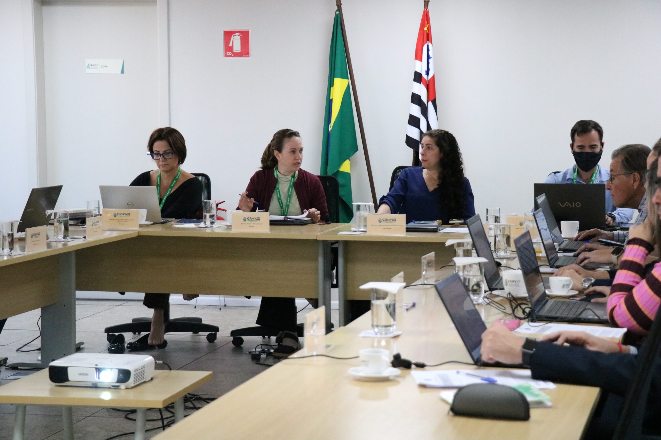 Conselheiros e Diretoria sentados em volta de uma mesa durante sessão plenária. Em destaque, da esquerda para a direita: a tesoureira Alessandra Marnie de Castro, a presidente, Daniela Pontes Chiebao, a vice-presidente, Carolina Filippos e o secretário-geral, Rodrigo Mainardi.