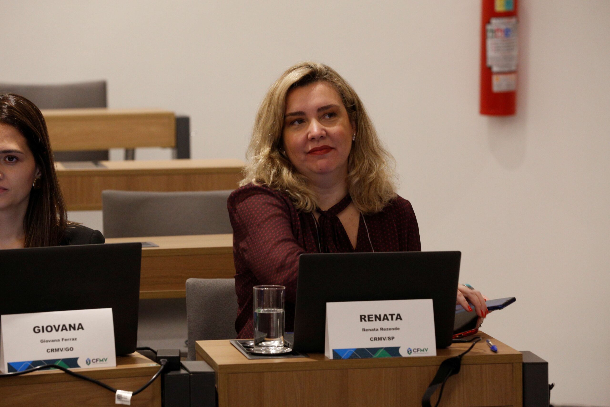 Mulher sentada frente a computador.