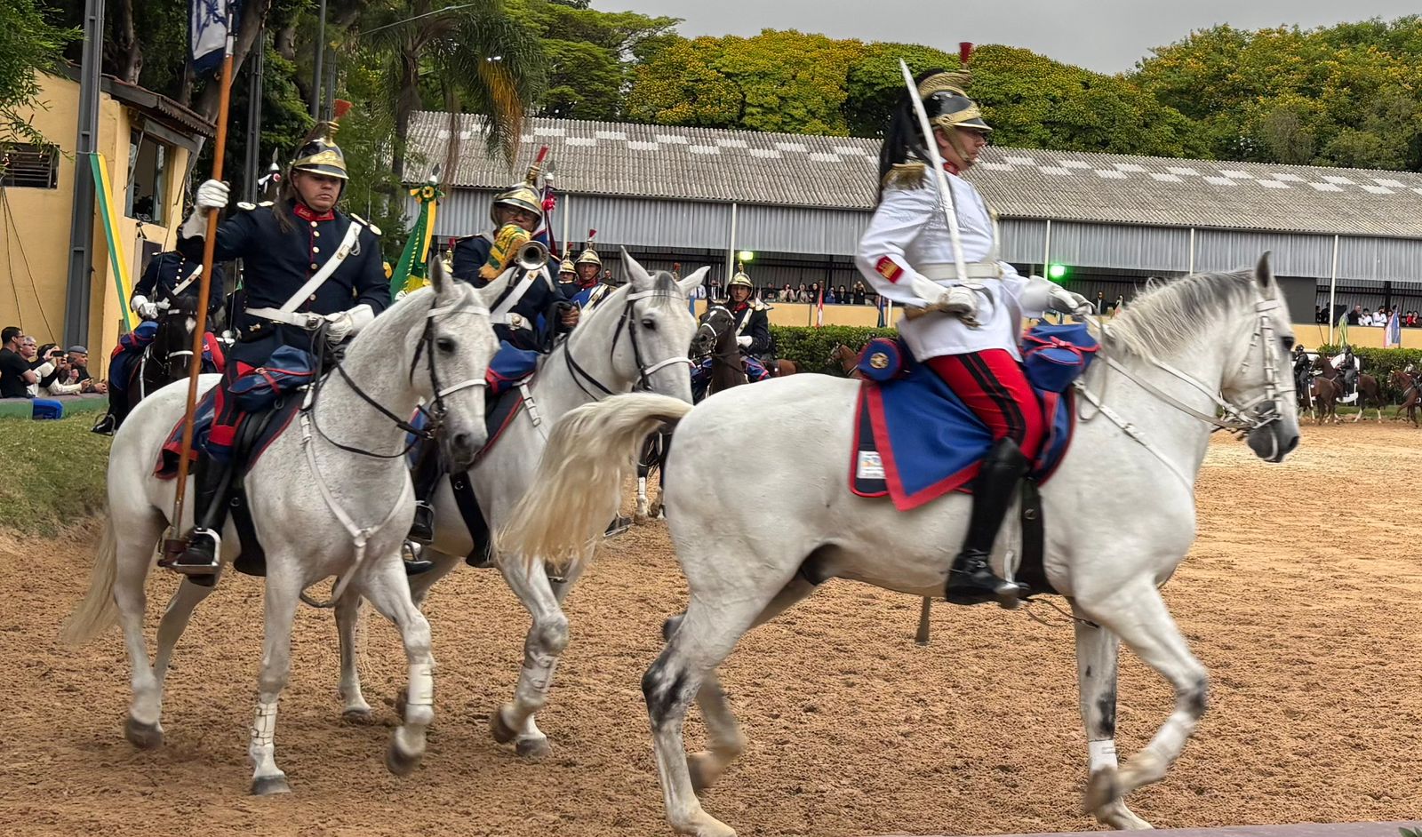 imagem de cavalos e pessoas montadas em cima deles.
