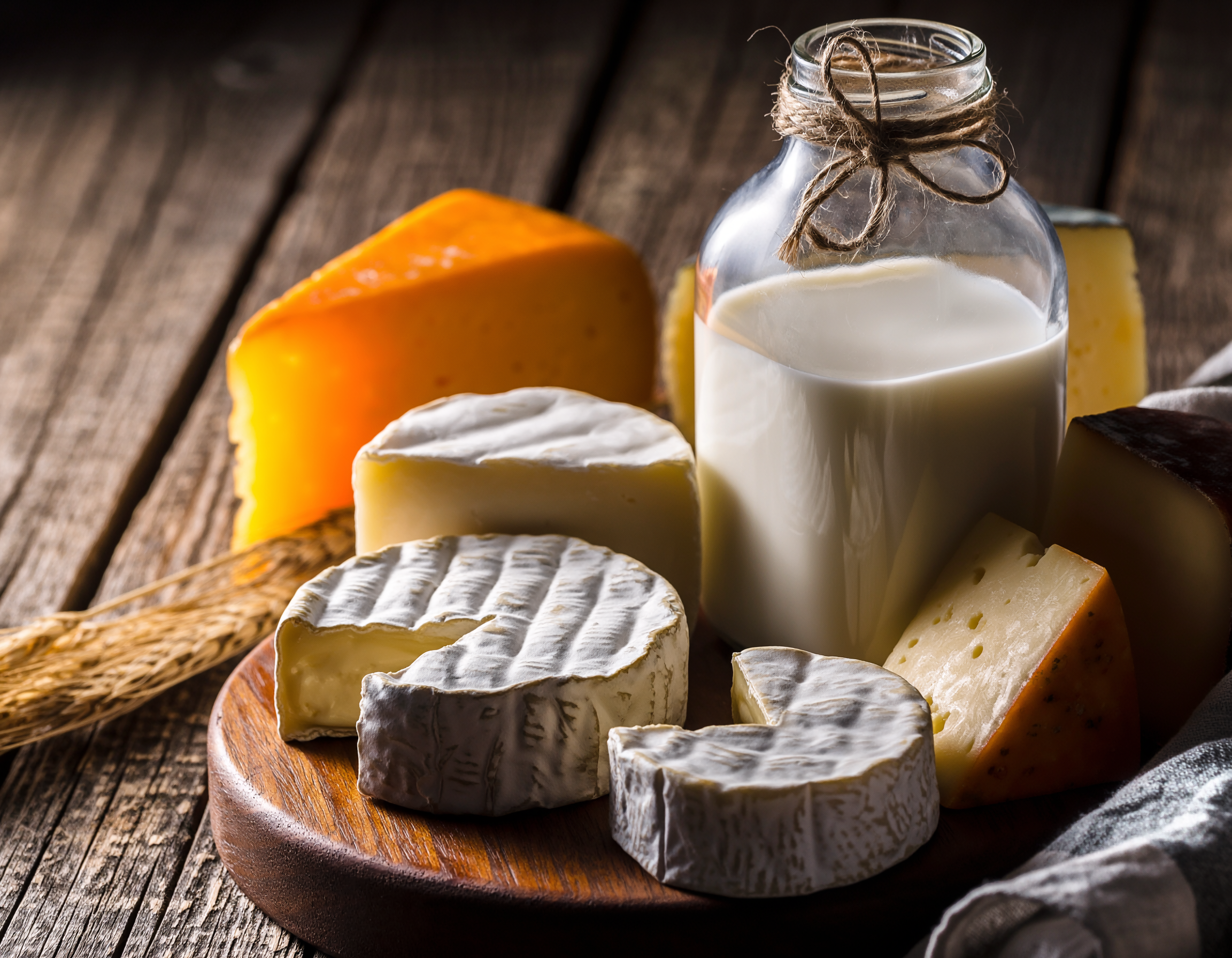 imagem de queijos