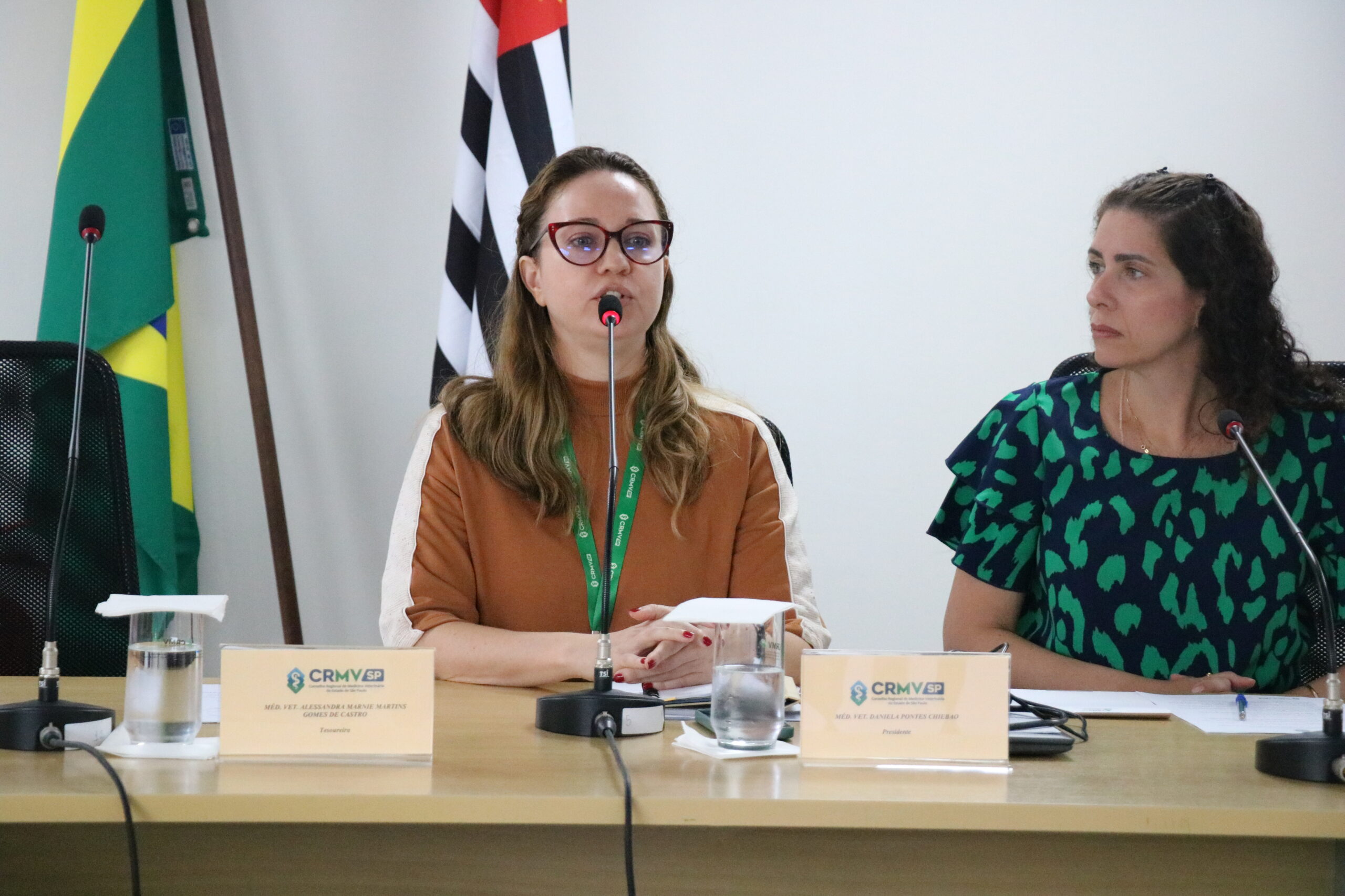 Duas pessoas à frente em uma sala de reunião, sendo as duas mulheres.