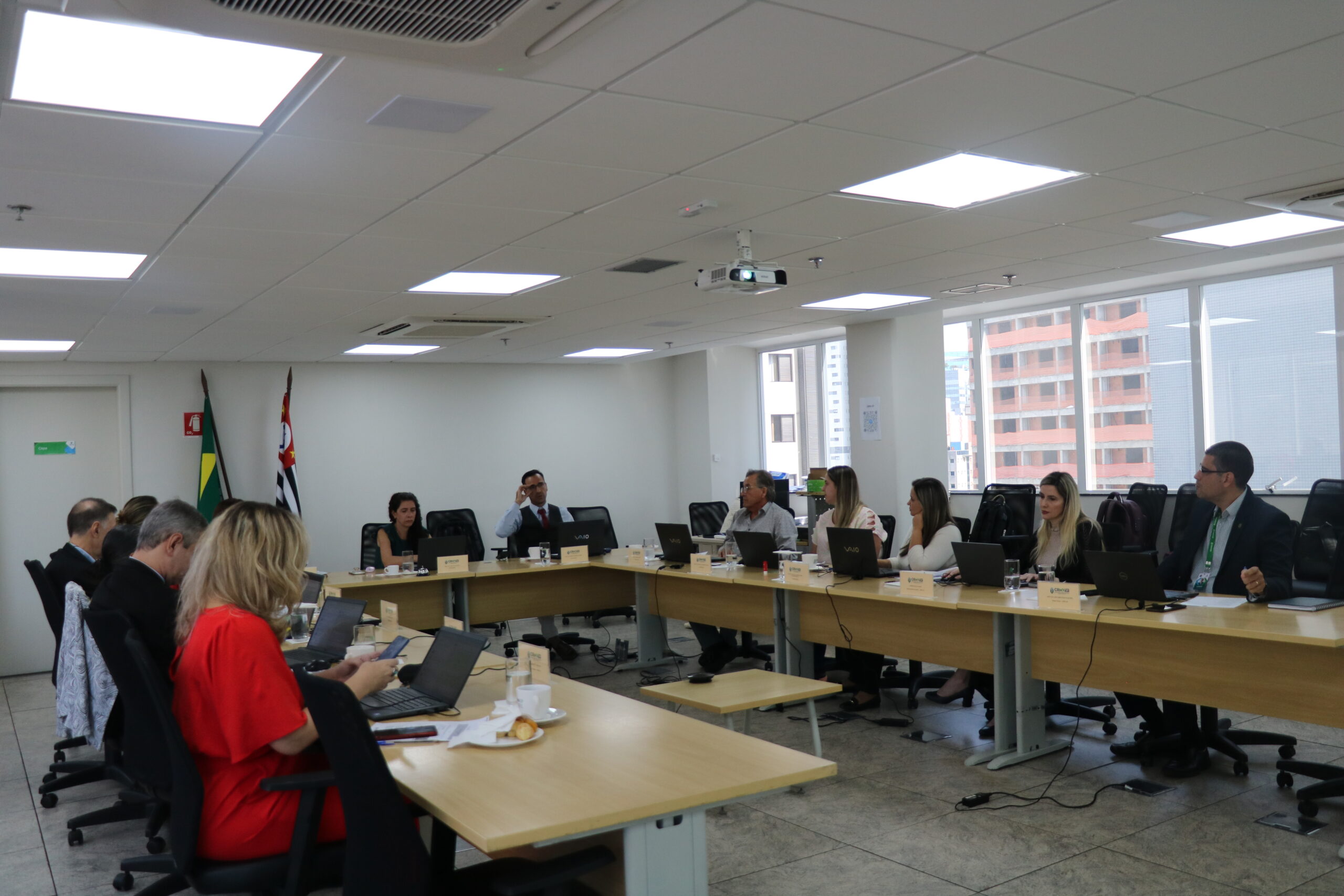 Plenária_março (14)