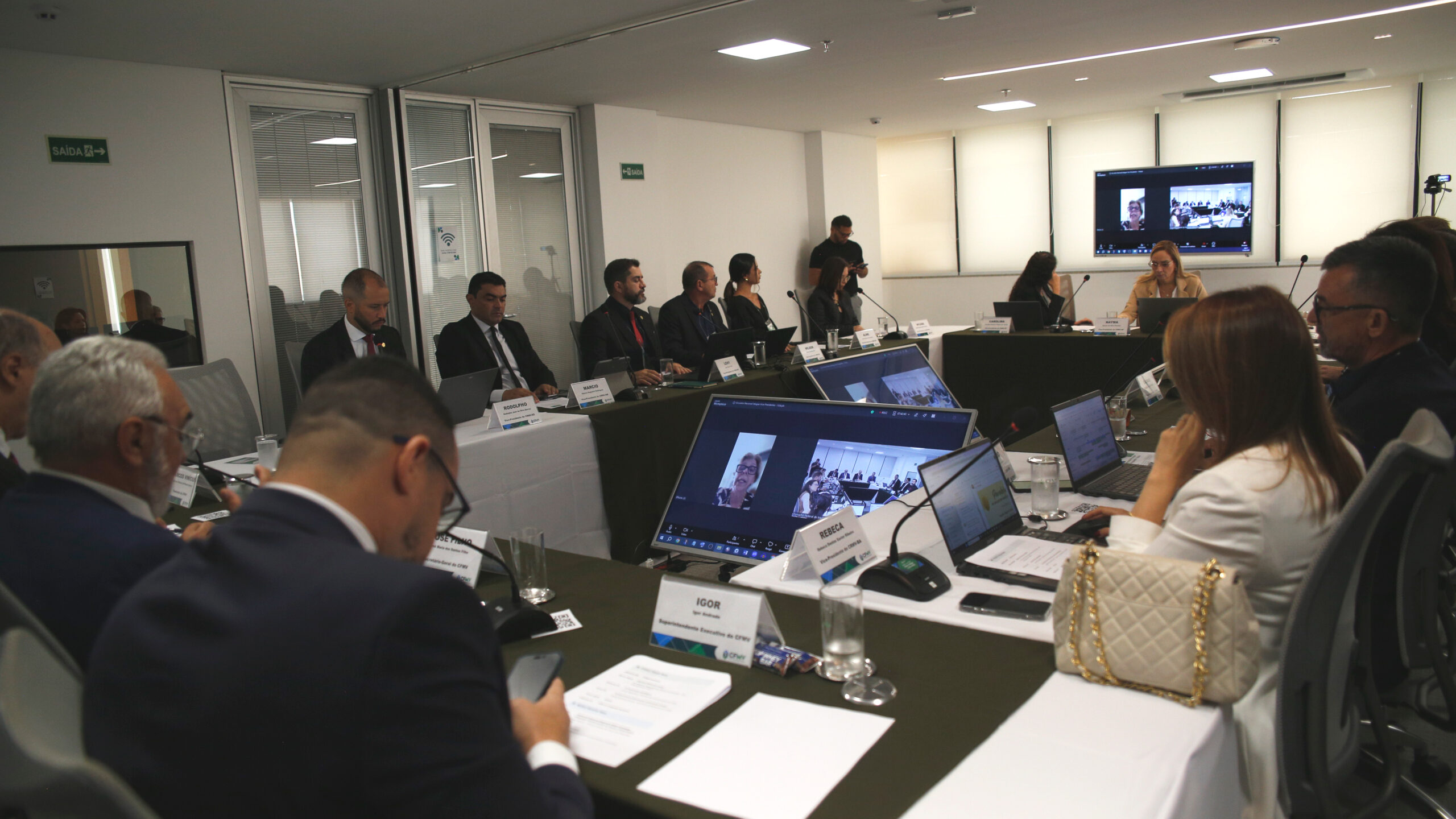 Encontro de Vice-Presidentes Sistema CFMVCRMVs(1)