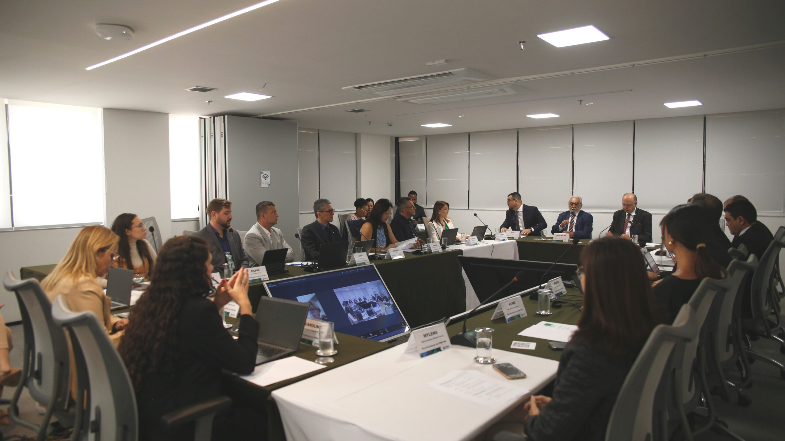 Encontro de Vice-Presidentes Sistema CFMVCRMVs(2)