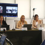 Encontro de Vice-Presidentes Sistema CFMVCRMVs(3)