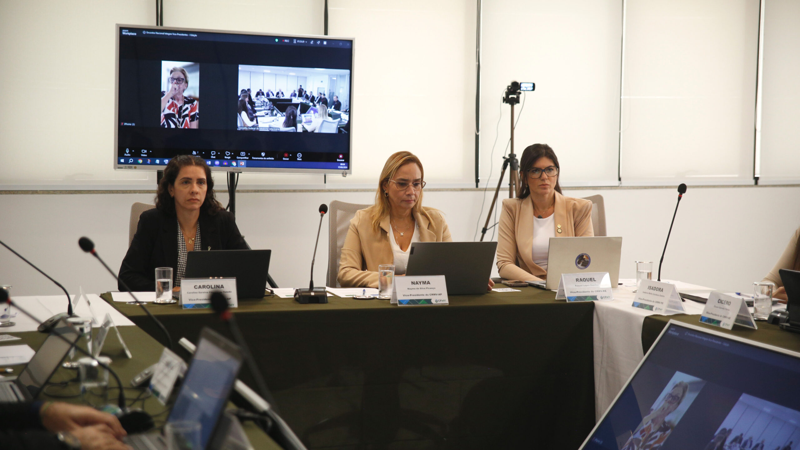 Encontro de Vice-Presidentes Sistema CFMVCRMVs(3)