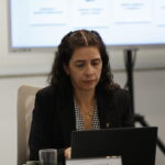 Encontro de Vice-Presidentes Sistema CFMVCRMVs(4)