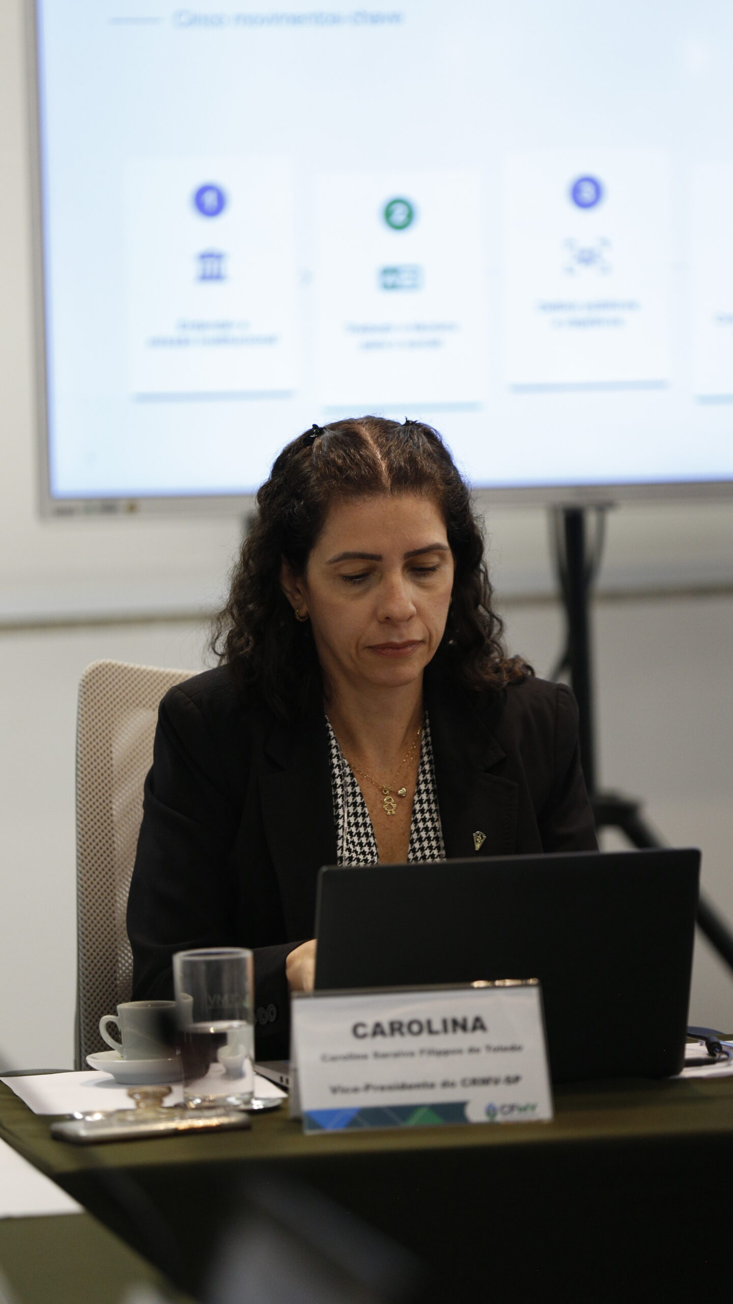 Encontro de Vice-Presidentes Sistema CFMVCRMVs(4)