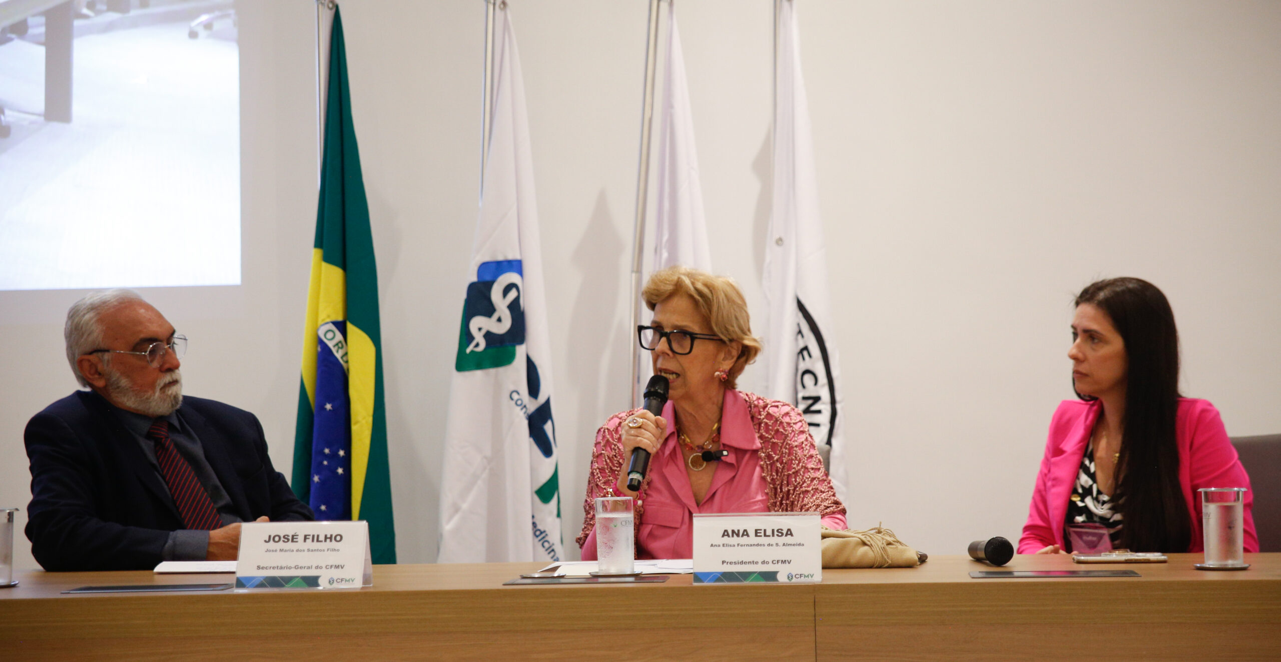 I Seminário da Comissão Nacional de Valorização da Mulher Médica-Veterinária e Zootecnista (1)