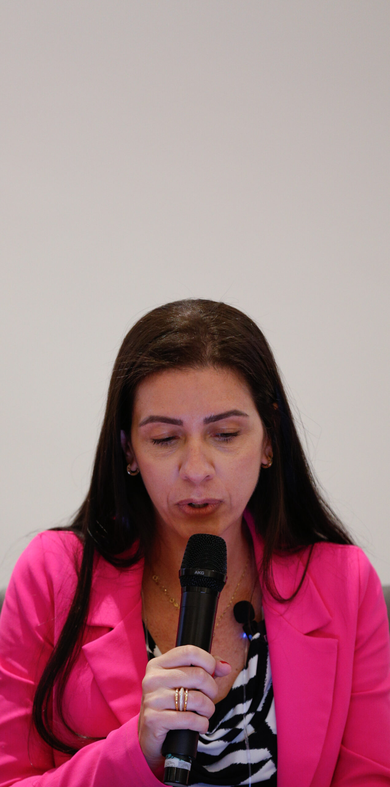 I Seminário da Comissão Nacional de Valorização da Mulher Médica-Veterinária e Zootecnista (5)