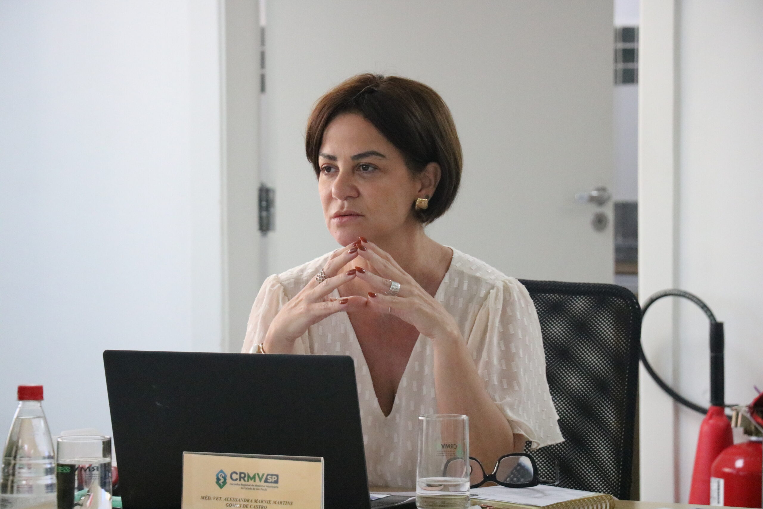 Mulher em uma mesa de reunião, falando, com um notebook na mesa.