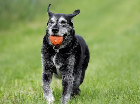 Foto: Adobe Stock