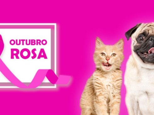 Foto: Comunicação CRMV-SP