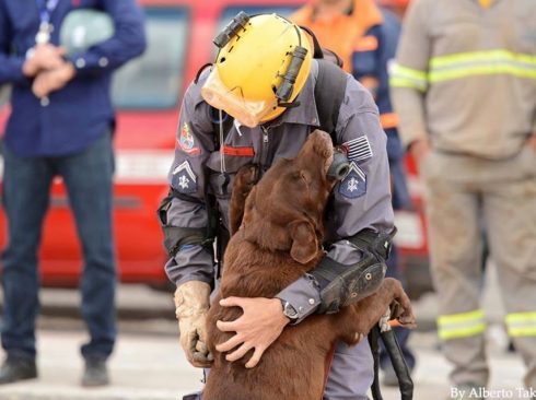 Foto: Alberto Takaoka
Sargento Clóvis, recompensando a cadela Milka, que localizou operários sob lajes em desabamento, em São Paulo (2013)