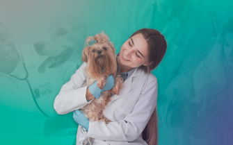 04.12.2025_Divulgação_Orienta_DEZ_Matéria