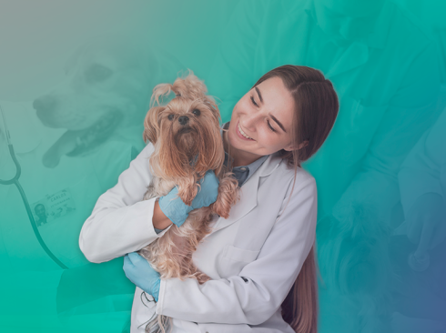 04.12.2025_Divulgação_Orienta_DEZ_Matéria