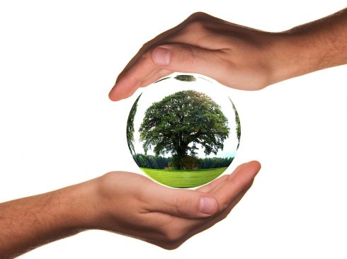 05.06.2020_Pegada_ecológica_pandemia_biodiversidade_Saúde_Única_Parte_2_PixAbay