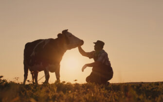 A Imagem mostra um homem ao lado de uma vaca leiteira, em gesto de respeito.