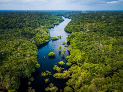 05.09.20_Dia da Amazônia - manter a floresta de pé também é uma medida socioeconômica