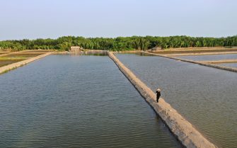 Tanques de terra retangulares estão entre as diversas opções de sistemas de criação. de peixes.