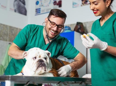 Foto: Adobe Stock