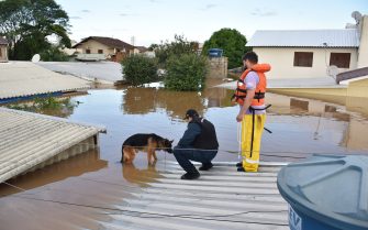 Em um cenário de enchente na cidade de Santa Maria, um cachorro pastor alemão é resgatado por dois homens