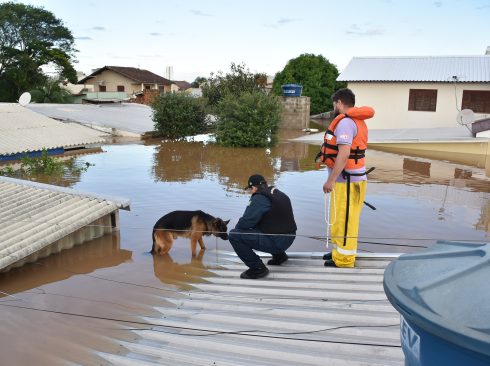 Em um cenário de enchente na cidade de Santa Maria, um cachorro pastor alemão é resgatado por dois homens