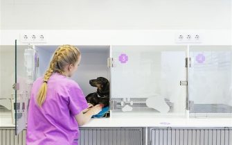 Mulher branca loira com trança no cabelo, usando uniforme rosa olha para cão preto da raça basset que está internado em uma clínica veterinária.