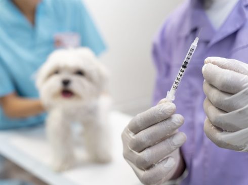 08.01.2025_Mapa_Foto